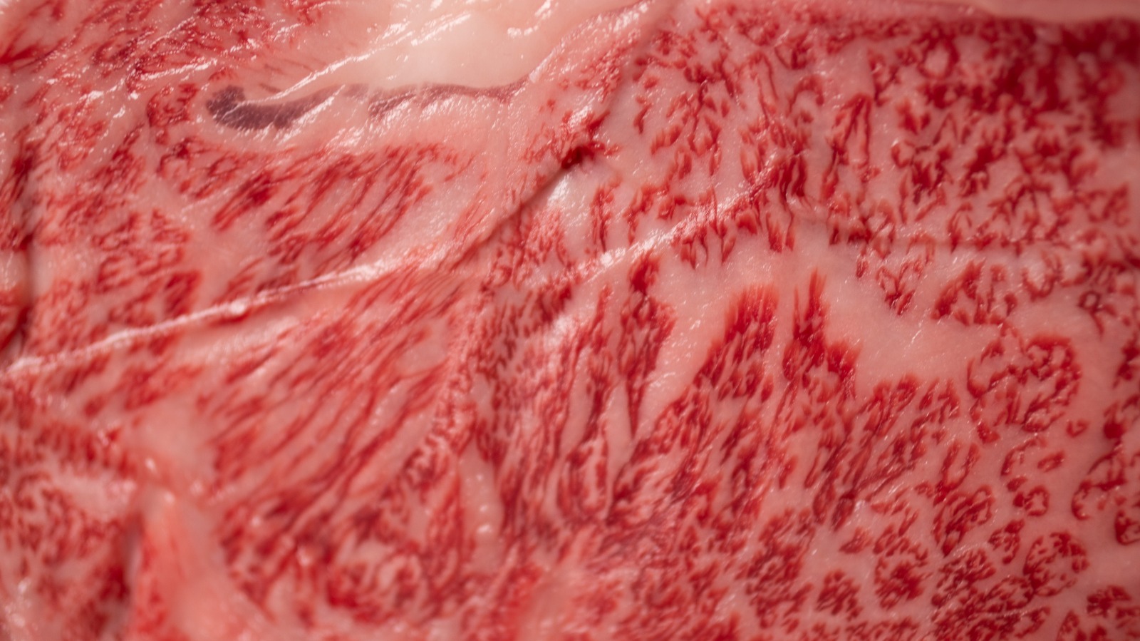 Jenis Marbling Wagyu dan Pengaruhnya terhadap Rasa Steak