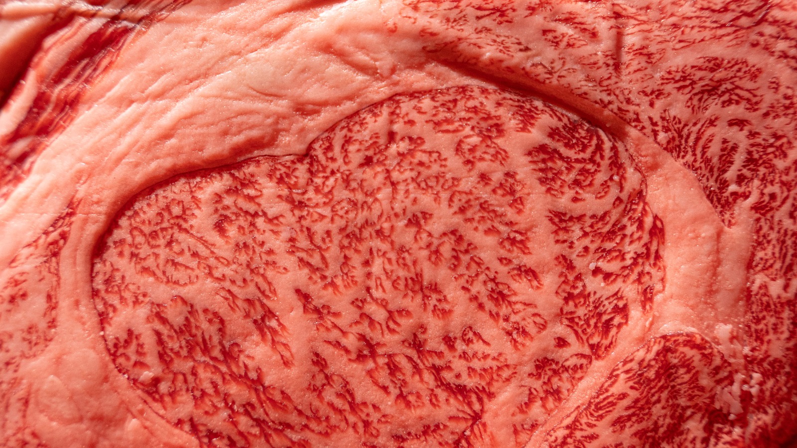 Hyogo A5 Wagyu: Asal, Karakteristik, dan Mengapa Daging Ini Sangat Istimewa