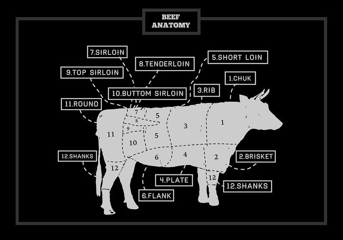 11 Bagian Daging Sapi dan Cara Terbaik Memasaknya!