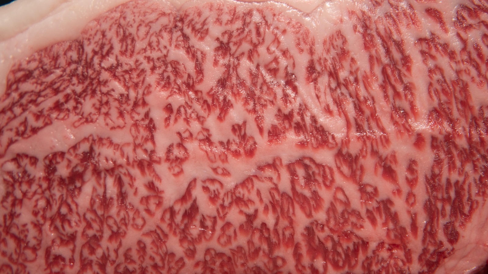 Marbling Daging: Pengaruhnya terhadap Juice, Rasa, dan Kualitas Steak
